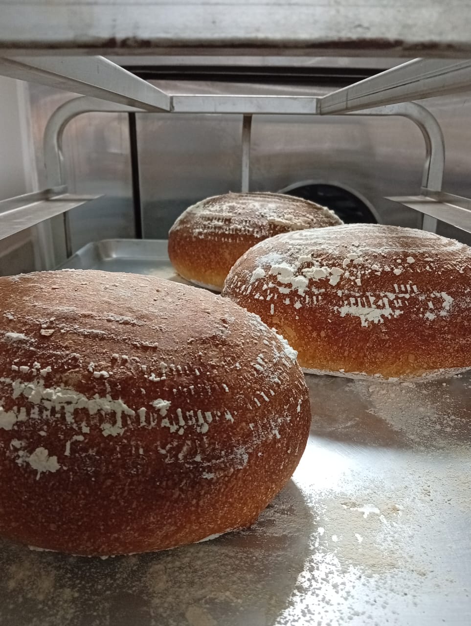 Hogazas de masa madre enharinadas recién salidas del horno